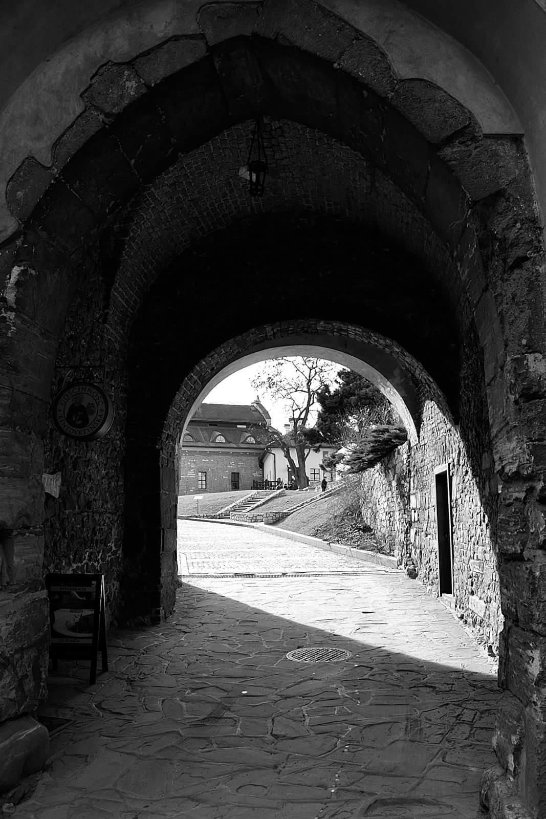 Camaldolese Monastery