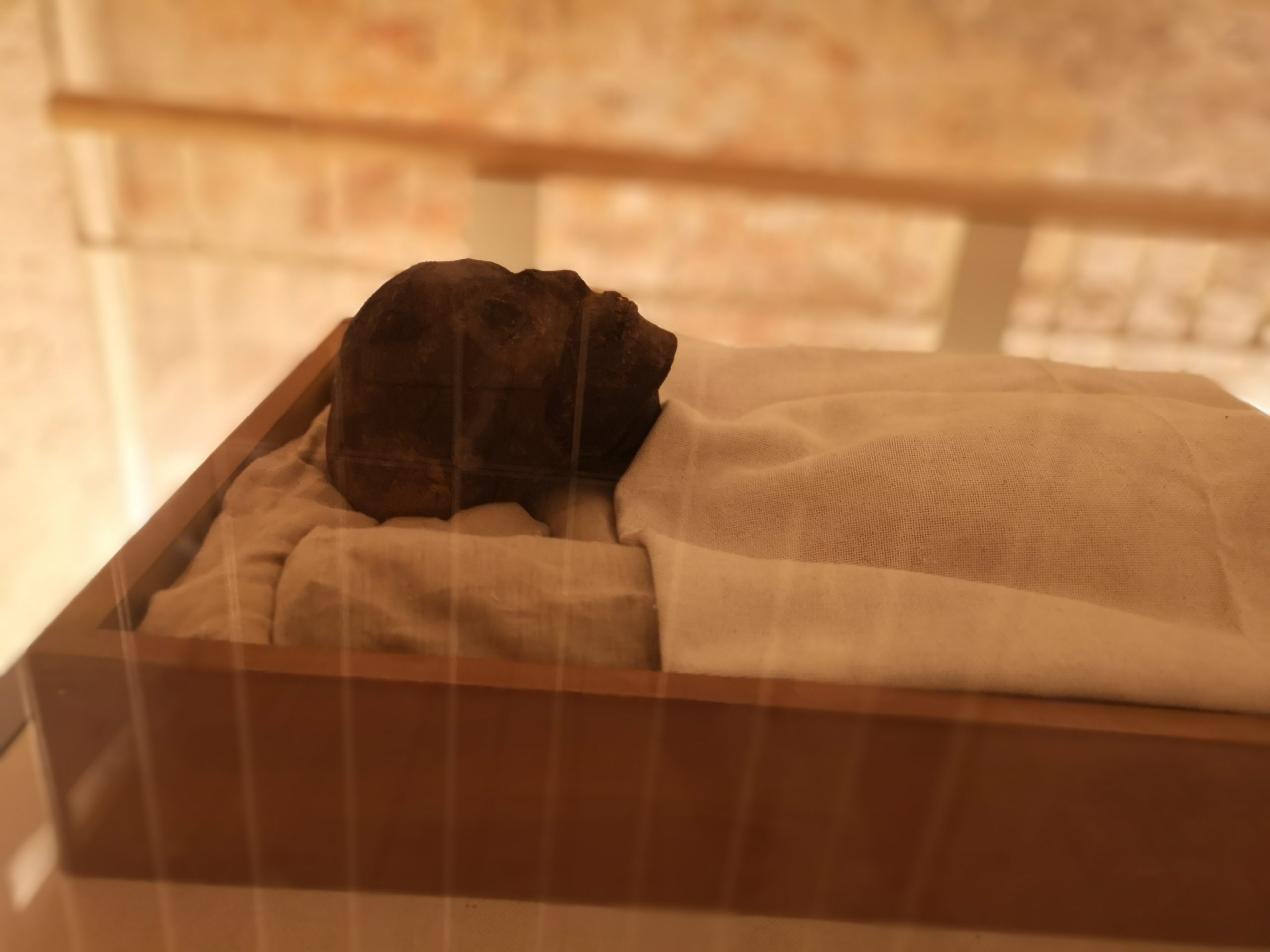 This image has an empty alt attribute; its file name is IMG_20210412_144142-scaled.jpg